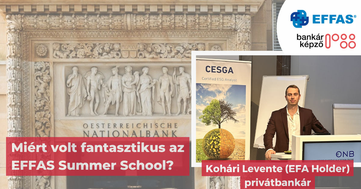 Miért fantasztikus lehetőség részt venni ez EFFAS Summer Schoolon? 